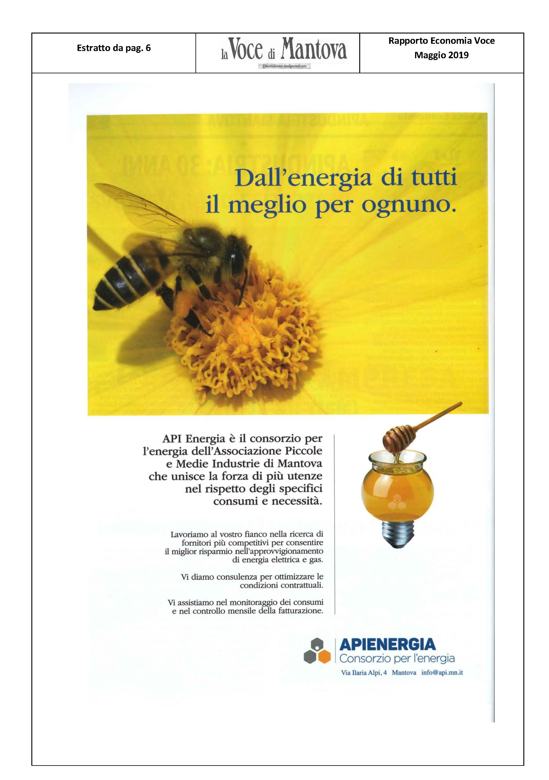 70 RAPP VDM APIENERGIA P6