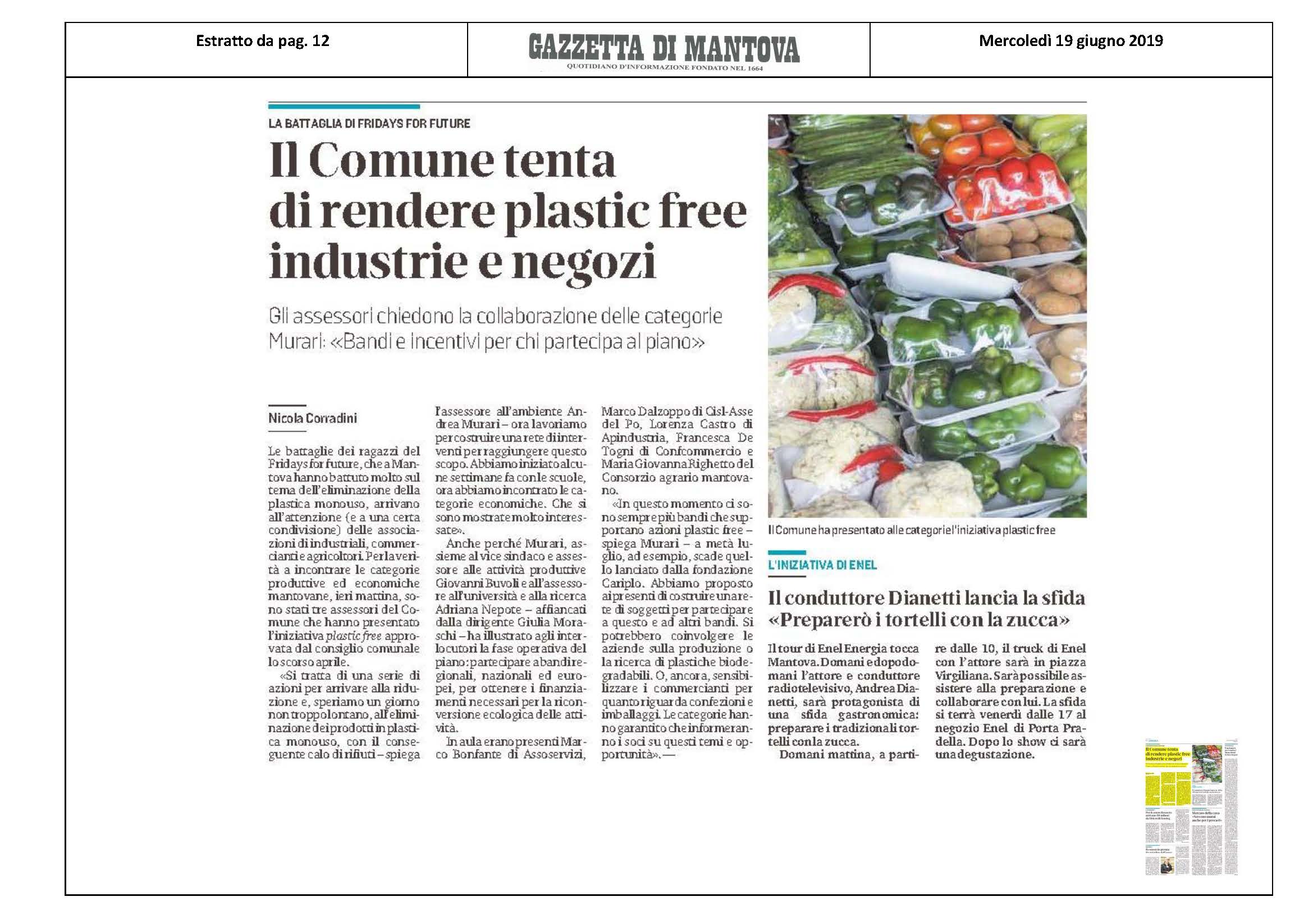 90 GDM PLASTIC FREE 19 06 19 P12
