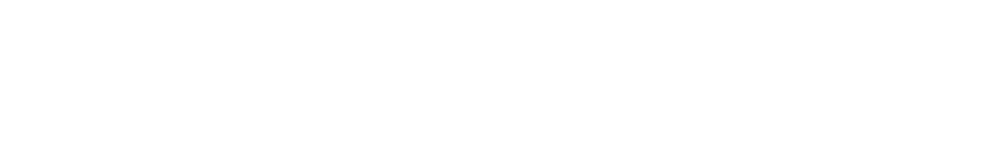 apiexport