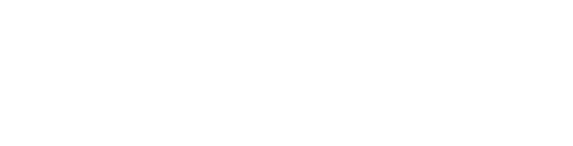 apirisk