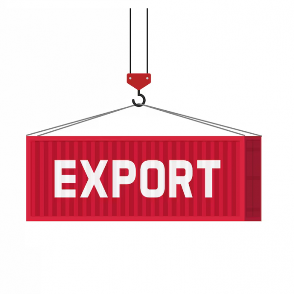 Servizio Codice Doganale